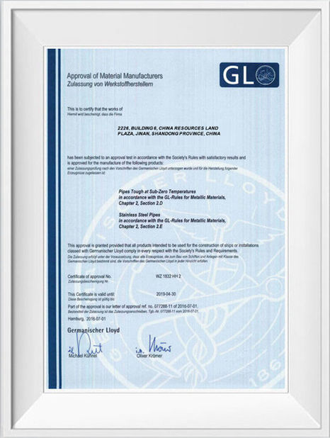 China Shandong Hongxin International Trade Co., LTD. certificaciones